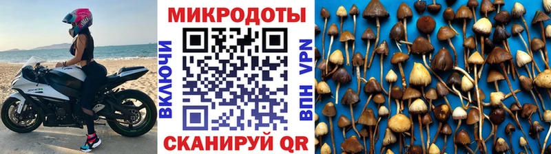 Псилоцибиновые грибы Magic Shrooms  как найти закладки  Инсар 